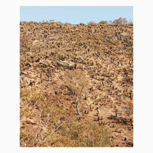 Load image into Gallery viewer, Andrew Pekler, Giuseppe Ielasi - Palimpsests - ElMuelle1931
