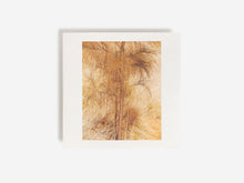Load image into Gallery viewer, Andrew Pekler, Giuseppe Ielasi - Palimpsests - ElMuelle1931
