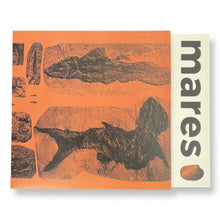 Load image into Gallery viewer, Annelies Monseré - Mares - ElMuelle1931

