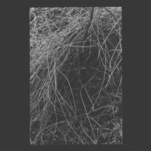 Load image into Gallery viewer, Annelies Monseré - Nest - ElMuelle1931
