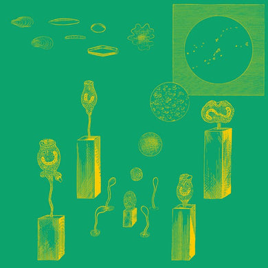 Bear Bones, Lay Low - Atlantean Encrypted Message - ElMuelle1931