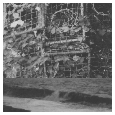 Cremation Lily - The Processes And Instruments Of Normal People; Trying And Failing, Falling And Water Running - ElMuelle1931