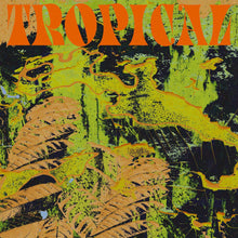 Load image into Gallery viewer, CV Vision - Tropical - ElMuelle1931
