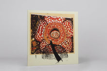 Load image into Gallery viewer, David Fenech &amp; Klimperei - Rainbow De Nuit - ElMuelle1931
