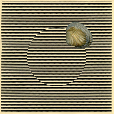 DJ Brittle - Aleatoric Sampling System Vol. 1 - ElMuelle1931