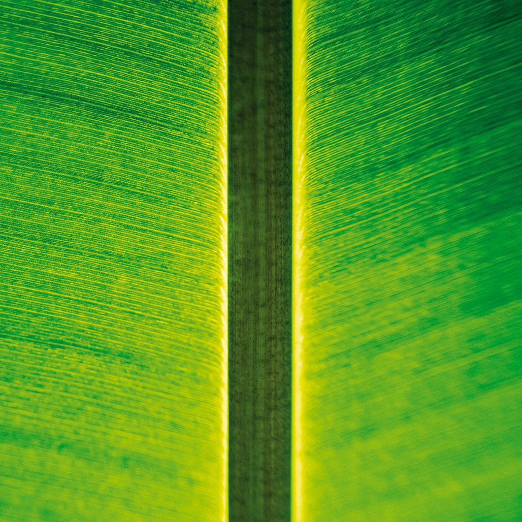 Fahmi Mursyid - One Instrument Sessions 03 - ElMuelle1931