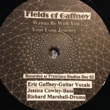 Load image into Gallery viewer, Fields Of Gaffney / Pernath – Split 7&quot; - ElMuelle1931
