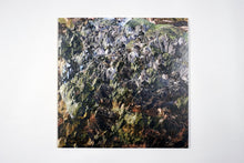 Load image into Gallery viewer, Genetisis - Genetisis - ElMuelle1931
