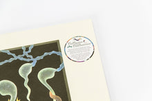 Load image into Gallery viewer, Grykë Pyje - Collision And Coalescence - ElMuelle1931
