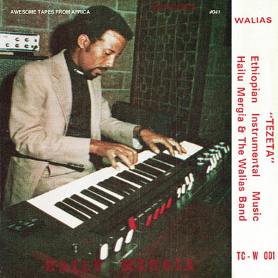 Hailu Mergia & The Walias Band - Tezeta - ElMuelle1931