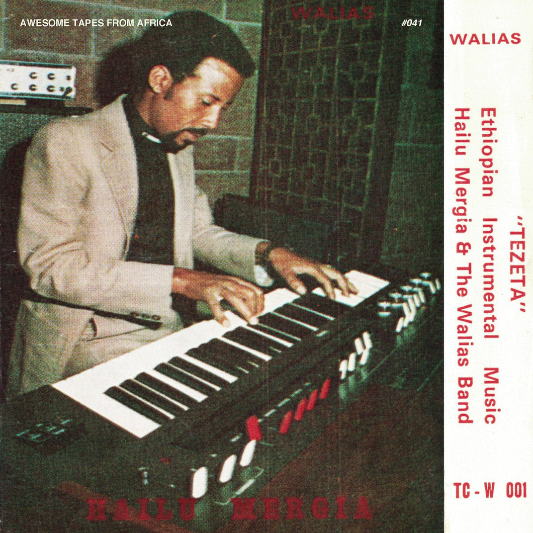 Hailu Mergia & The Walias Band - Tezeta - ElMuelle1931