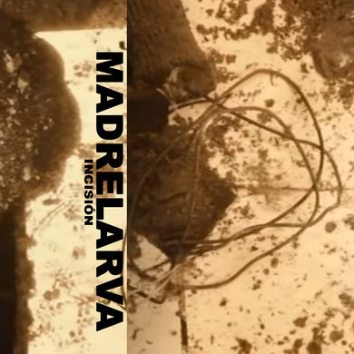 Madrelarva - Incisión - ElMuelle1931