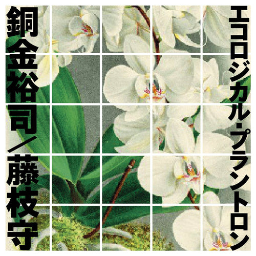 Mamoru Fujieda, Yuji Dogane - Ecological Plantron - ElMuelle1931