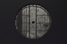 Load image into Gallery viewer, Nikolaienko - Nostalgia Por Mesozoica - ElMuelle1931
