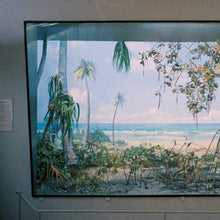 Load image into Gallery viewer, Nikolaienko - Nostalgia Por Mesozoica - ElMuelle1931
