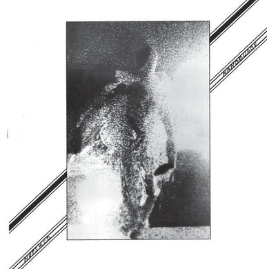 Nuts & Co - Kangourou - ElMuelle1931