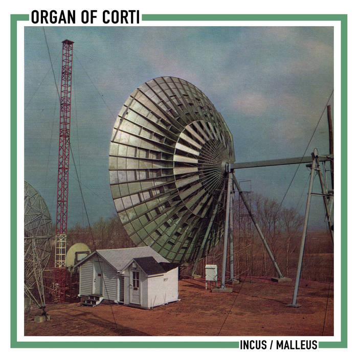 Organ Of Corti - Incus / Malleus - ElMuelle1931