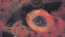 Load image into Gallery viewer, Primitive Motion - Elemental Dreaming - ElMuelle1931
