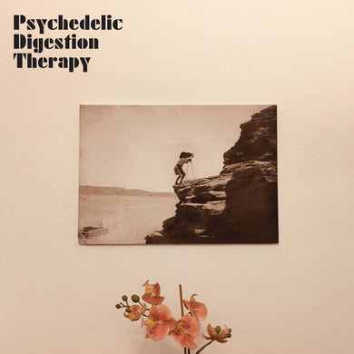 Psychedelic Digestion Therapy - Psychedelic Digestion Therapy - ElMuelle1931
