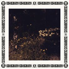 Load image into Gallery viewer, Sarah Davachi - Pale Bloom - ElMuelle1931
