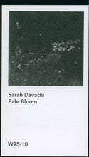 Load image into Gallery viewer, Sarah Davachi - Pale Bloom - ElMuelle1931
