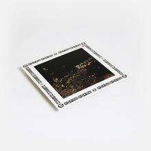 Load image into Gallery viewer, Sarah Davachi - Pale Bloom - ElMuelle1931
