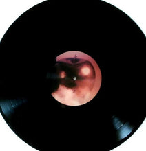 Load image into Gallery viewer, Silver Apples - Clinging To A Dream - ElMuelle1931
