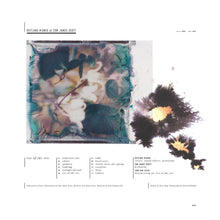 Load image into Gallery viewer, Svitlana Nianio &amp; Tom James Scott - Eye of the Sea - ElMuelle1931
