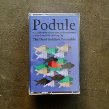 Load image into Gallery viewer, The Dead Goldfish Ensemble – Podule: a collection of very rare and unreleased tracks from 1985-1994 - ElMuelle1931
