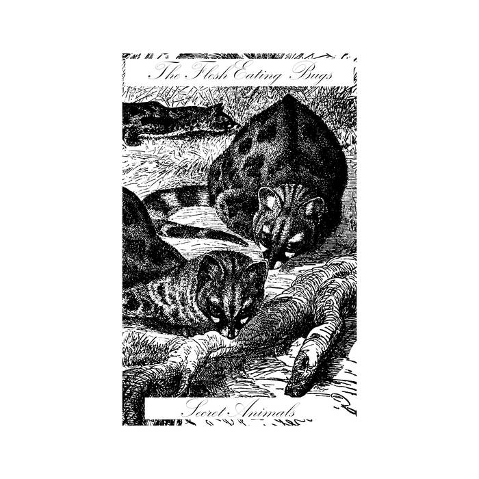 The Flesh-Eating Bugs - Secret Animals - ElMuelle1931