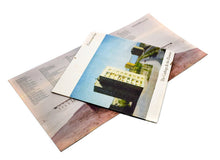 Load image into Gallery viewer, The Garbage &amp; The Flowers - Cinnamon Sea - ElMuelle1931
