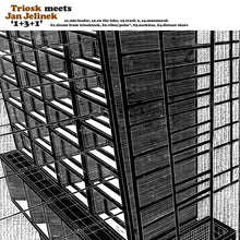 Load image into Gallery viewer, Triosk Meets Jan Jelinek ‎– 1+3+1 - ElMuelle1931
