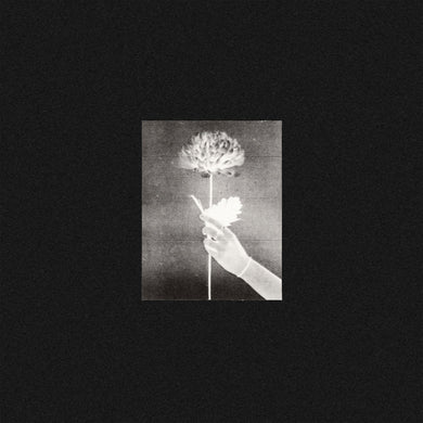 White Flowers ‎– Day By Day - ElMuelle1931