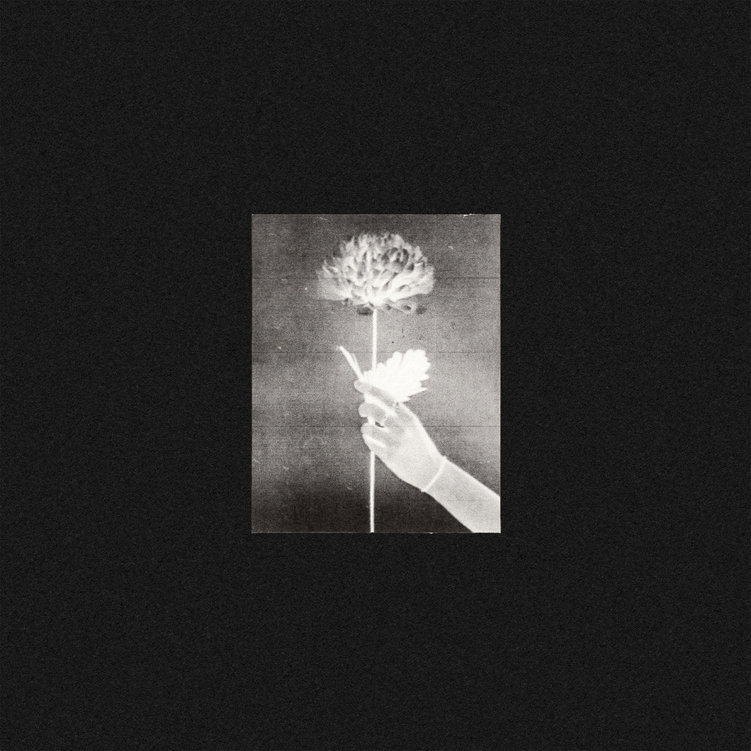 White Flowers ‎– Day By Day - ElMuelle1931