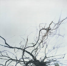 Load image into Gallery viewer, Yutaka Hirose - Nova + 4 - ElMuelle1931
